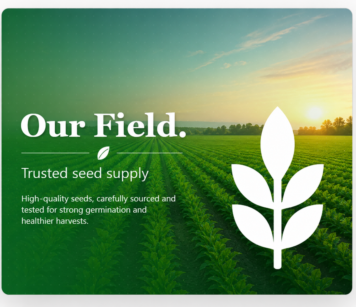 Royal Agriseeds